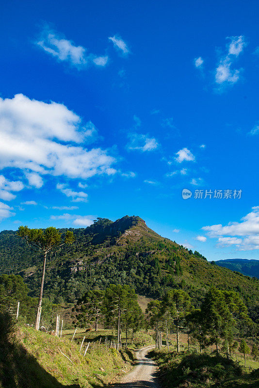 Urubici, Santa Catarina，巴西- araucarias，田野和山脉